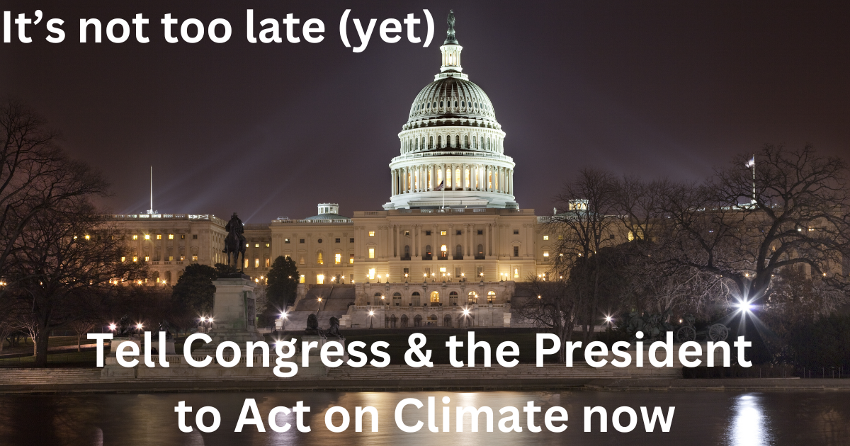 Tell Congress to act on climate before Trump takes office